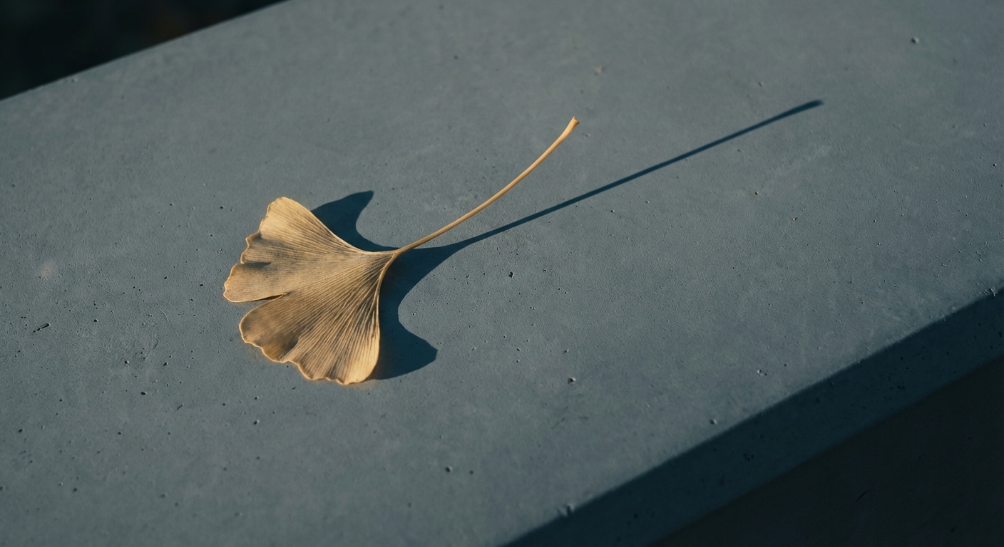 The Geometry of Tranquility